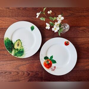 PAPER PRODUCTS DESIGN (PPD) SET OF 2 11” Porcelain Germany Dinner 🍅 PLATES
